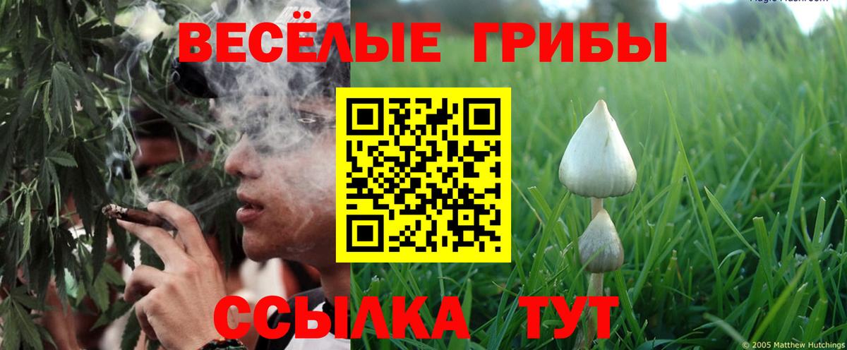 Псилоцибиновые грибы Magic Shrooms Асино